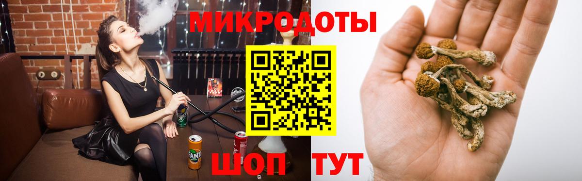 Шадринск  Галлюциногенные грибы MAGIC MUSHROOMS  Вход с VPN 